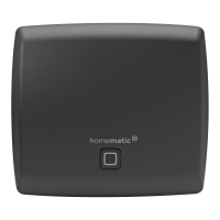 Homematic IP Access Point, anthrazit